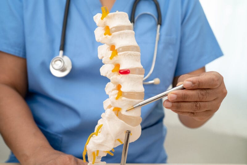 A doctor in blue scrubs holding a model of the human spine, pointing at a section with a pen.